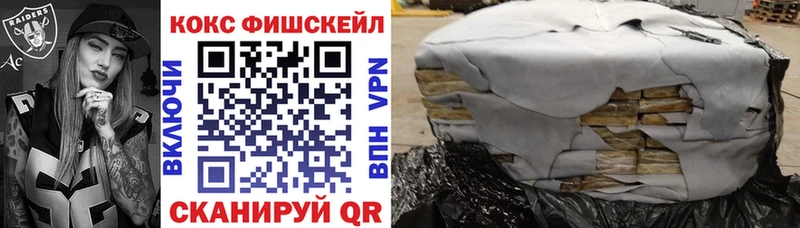 маркетплейс клад  Палласовка  КОКАИН FishScale 