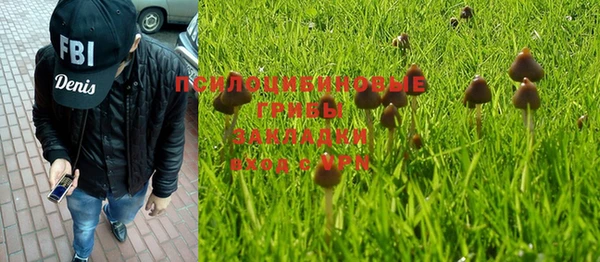 прущий лед Арсеньев
