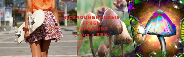 прущий лед Арсеньев