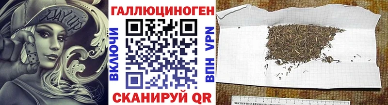 что такое наркотик  Палласовка  Галлюциногенные грибы мицелий 